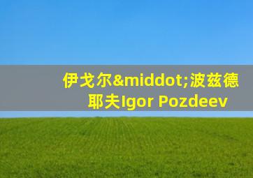 伊戈尔·波兹德耶夫Igor Pozdeev